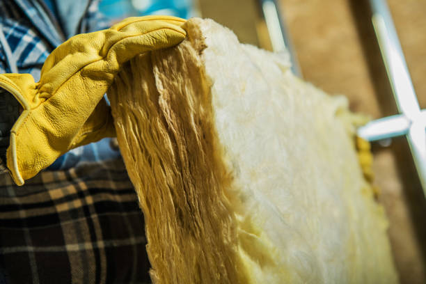 Best Residential Insulation in Latta, SC